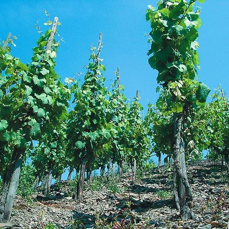 Weinhotel Hubertus Garni Klotten Bagian luar foto