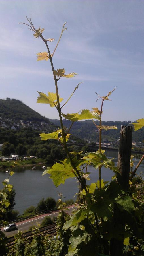 Weinhotel Hubertus Garni Klotten Bagian luar foto